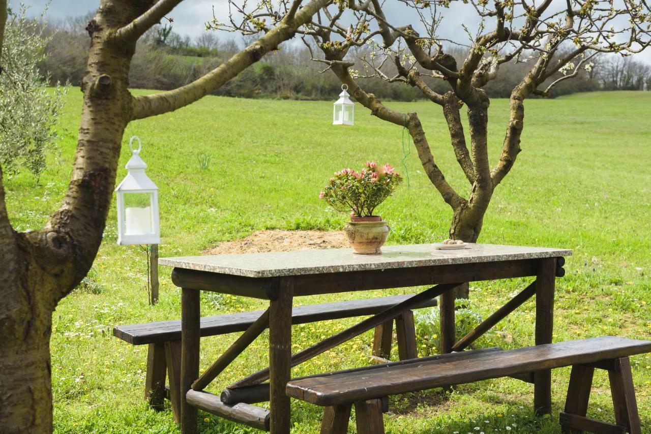 Agriturismo Campo Alla Piana Villa Monticchiello Exteriör bild