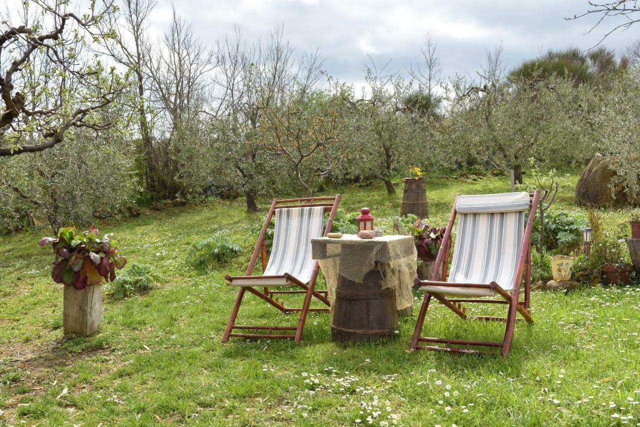 Agriturismo Campo Alla Piana Villa Monticchiello Exteriör bild