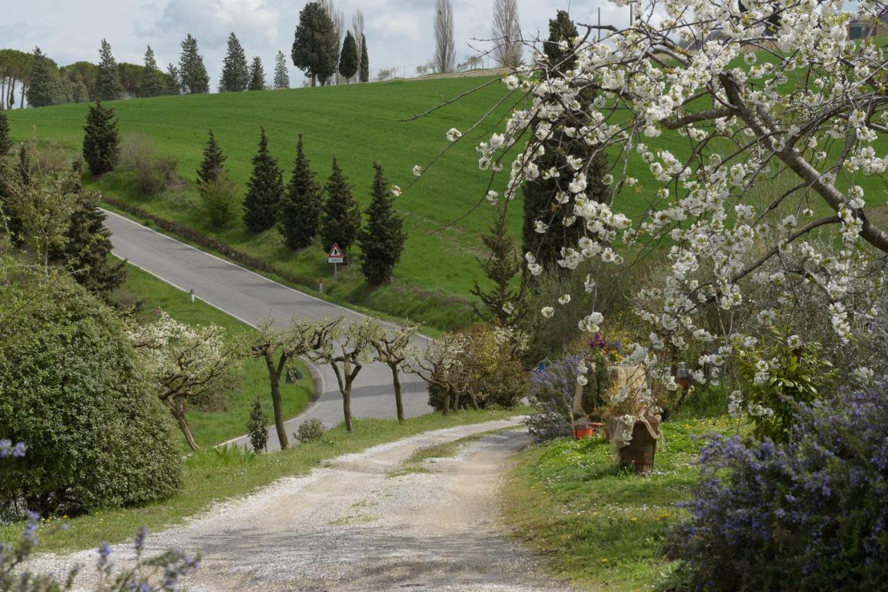 Agriturismo Campo Alla Piana Villa Monticchiello Exteriör bild