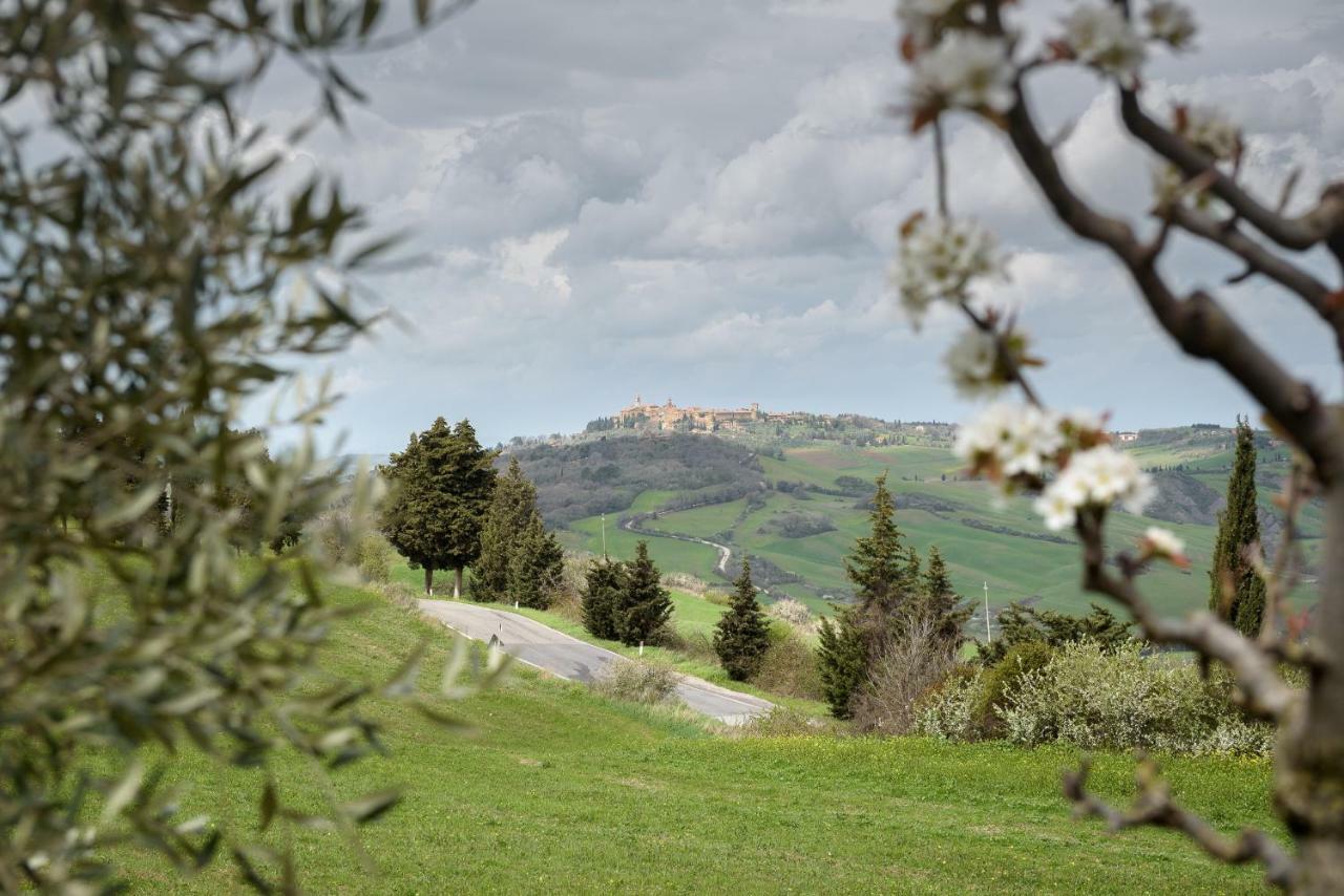 Agriturismo Campo Alla Piana Villa Monticchiello Exteriör bild